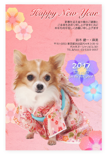 写真年賀状2017　切り抜き　ペット　わんちゃん