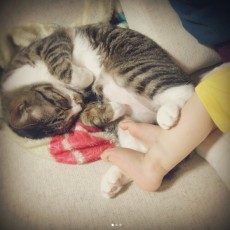 我が家の長男、おこめくん^ↀᴥↀ^ 我が家の長男、おこめくん^ↀᴥↀ^