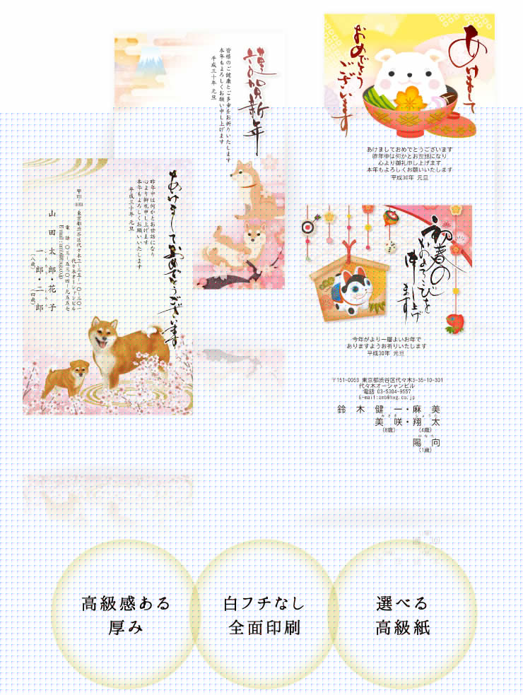 高品質写真はがきイメージ