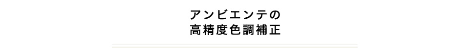 アンビエンテの高精度色調補正