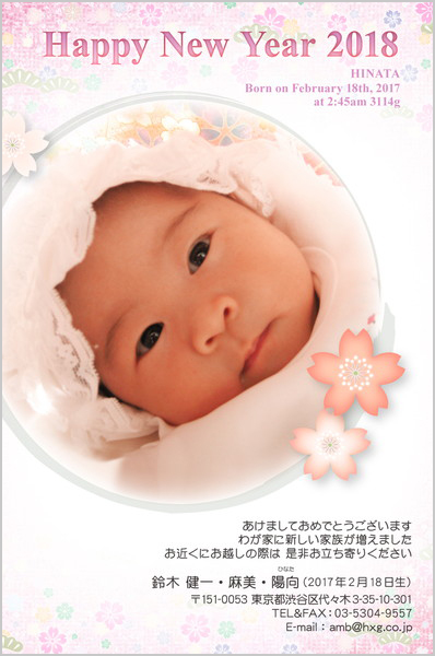 出産報告はがき 和風デザイン No. 433