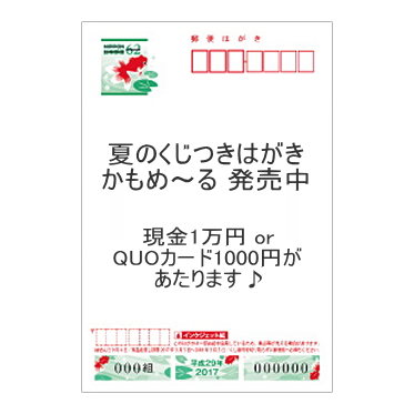 かもめ～る　くじつき　暑中見舞い