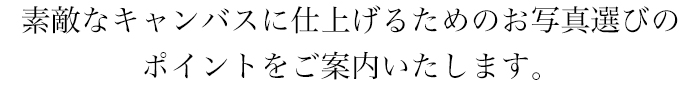素敵なキャンバスに仕上げるためのお写真選びのポイントをご案内いたします