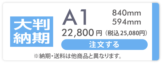 A1