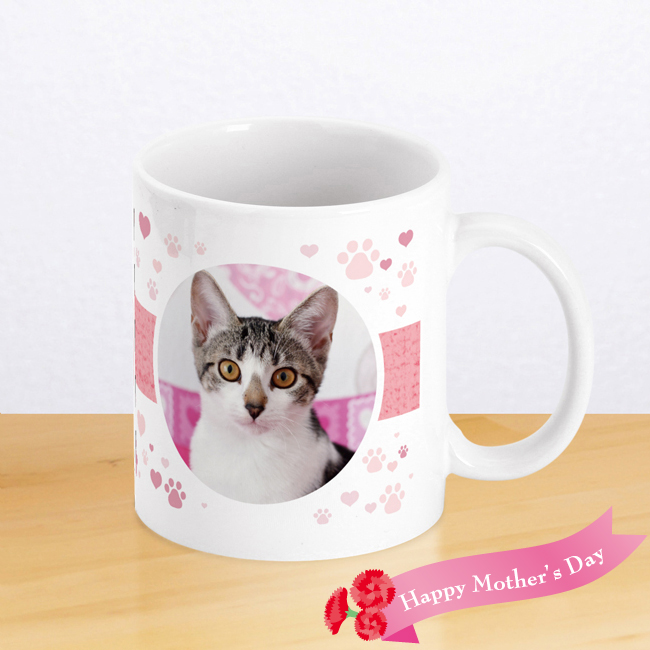 mug048_mother_cat