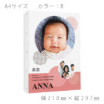 nmb-006-a4-brilliantcanvas