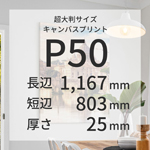 canvasP50