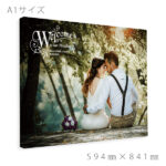 largecanvas-wlb-017-a1