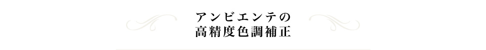 アンビエンテの高精度色調補正