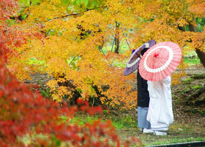 秋におすすめデザイン