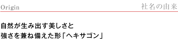 【社名の由来】自然が生み出す美しさと強さを兼ね備えた形「ヘキサゴン」